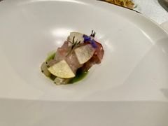 -蝶舍·MAISON PAPILLON