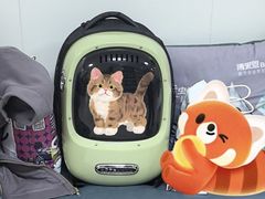 -美联众合动物医院·24h京西诊疗中心