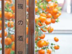 -鞠橘居酒屋(仁恒江湾新天地店)