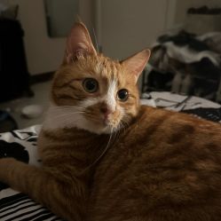 -米莱摄影写真(五大道别墅店)