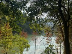 -广州白江湖森林公园