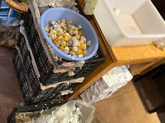 -真真鲜馄饨店(启蒙路店)