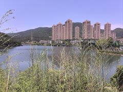 -聚龙小镇