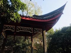 -菊花台公园