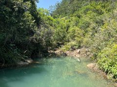 -广州白江湖森林公园