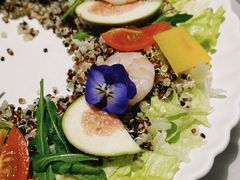 -伊斯坦布尔土耳其清真咖啡餐厅