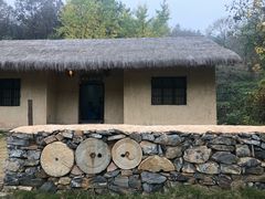 -千年银杏谷文化旅游区