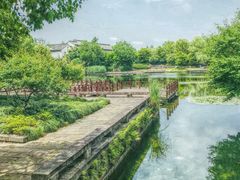 -西溪国家湿地公园