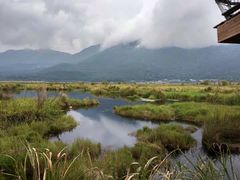 -腾冲北海湿地