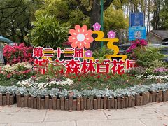 -上海共青森林公园