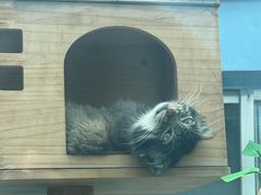 -青藏高原野生动物园