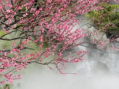 -静安雕塑公园