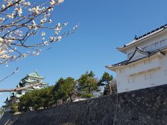 -名古屋城