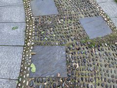 -艾溪湖湿地公园