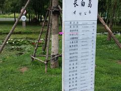 -长白岛森林公园