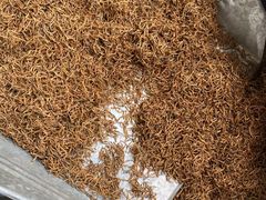 -青水瓦台汤泉(未央店)