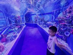 -上海大自然野生昆虫馆(东方明珠·爬宠昆虫探索中心)
