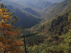 -五女峰国家森林公园