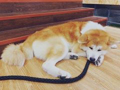 -YCHL Studios健身工作室(市二宫店)