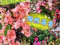 -陶然亭公园