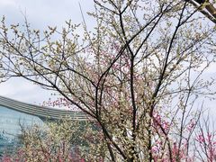 -桂溪生态公园
