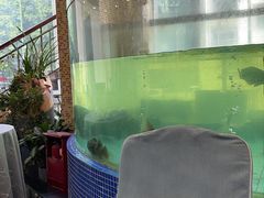 -春满人间酒楼(园岭中路店)