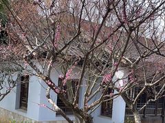 -无锡梅园公园
