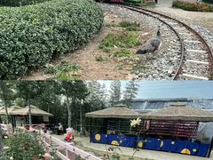 -静之湖度假区