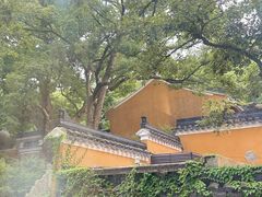 -普陀山雷迪森庄园