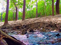 -白水寺森林公园