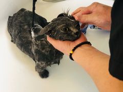 -喵汪宠物生活馆(涞坊路店)