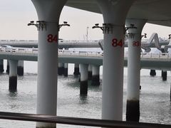 -演武大桥观景平台