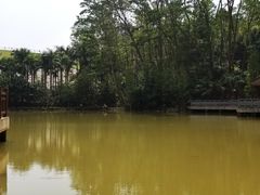 景点-阳台山森林公园