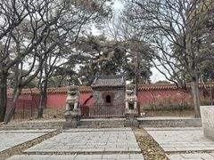 -北陵公园