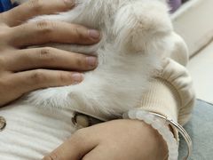 -怪兽屋·羊驼·猫咖·狗咖(俊华广场店)