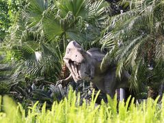 -自贡恐龙博物馆