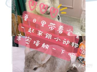 夏日里带着宝宝一起来跟小动物亲密接触吧