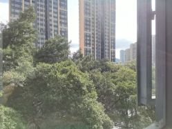 -宝生月子中心·独栋独院式(南山店)
