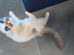 -零纪元VR体验馆·桌游(黄浦店)