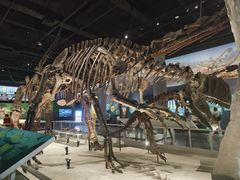 -国家自然博物馆