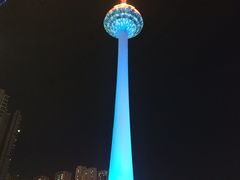 -辽宁电视塔
