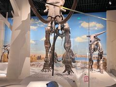 -国家自然博物馆