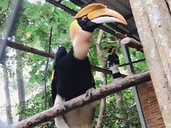 -清迈夜间动物园