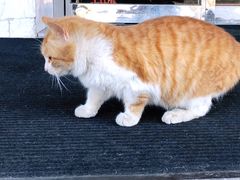 -绍兴启迪乔波冰雪世界