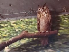 -上海大自然野生昆虫馆(东方明珠·爬宠昆虫探索中心)