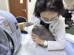 -美联众合动物医院·24h转诊中心