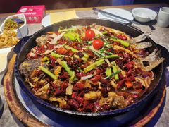 -老板恋上鱼(恒隆广场店)