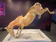 -生命奥秘博物馆