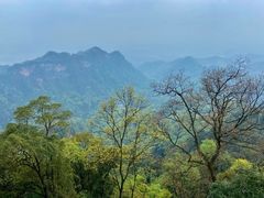 -青城山