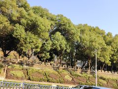 -乌山风景区